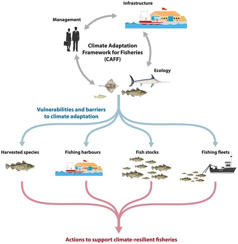 A prospective framework to support climate-adaptive fisheries in Canada