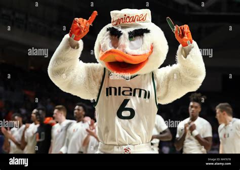 University of miami mascot hi-res stock photography and images - Alamy