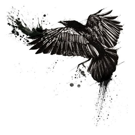 Tattoo Common raven Trash Polka Crow - raven png download - 1200*1200 ...