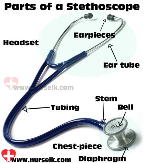 Parts of a Stethoscope | Nurselk.com