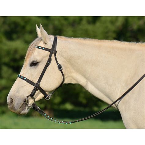 Purchase Picnic or Simple Halter Bridles from Two Horse Tack