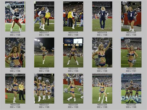 New England Patriots Cheerleaders - 0NE03_ix2