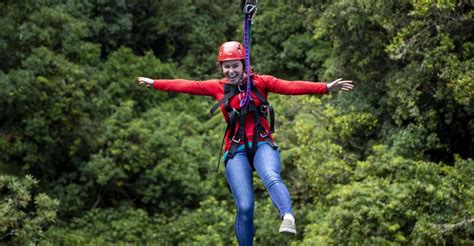 Rotorua Forest 3-Hour Zipline Canopy Tour | GetYourGuide