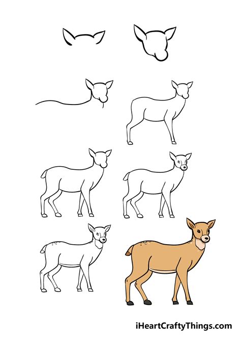 Deer Drawing - How To Draw A Deer Step By Step!