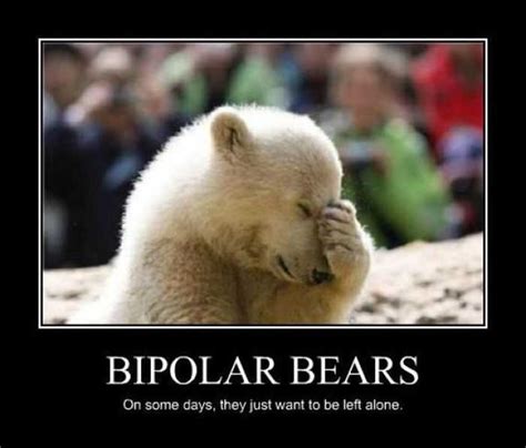 Bears Quotes. QuotesGram