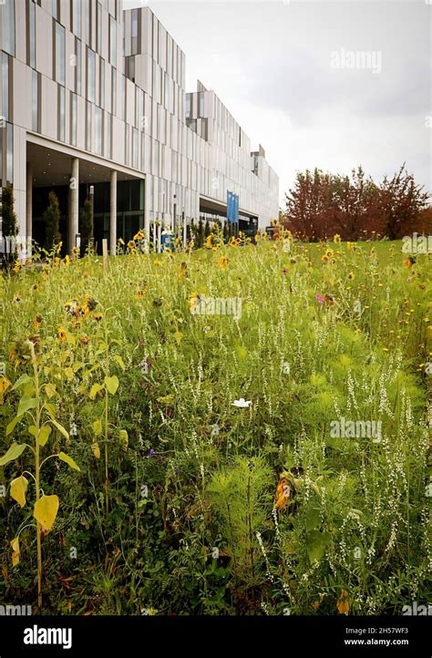 Garching research campus at the Technical University of Munich (TUM ...