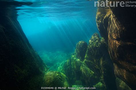 Stock photo of Underwater view of Lake Malawi, Malawi, Photographed for The Freshwater ...