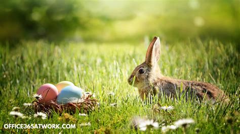 The best Easter Teams backgrounds - Microsoft 365 atWork