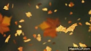 Falling Autumn Leaves Background loop 2 (Read Desc) on Make a GIF