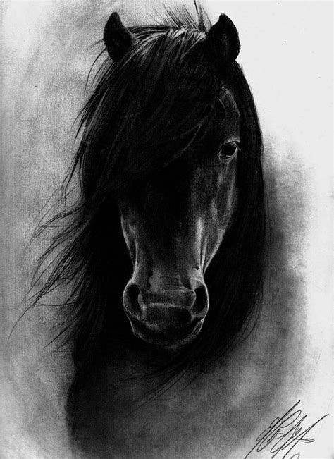 Cool horse drawing | horse drawings | Pinterest | Drawings, Horse drawings and Horses