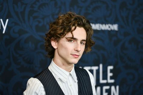 Timothée Chalamet Takes Jab at Scarlett Johansson Over Whitewashing | IndieWire