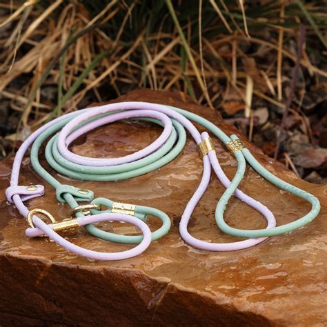 Biothane® Waterproof Rolled Slip Lead - Etsy