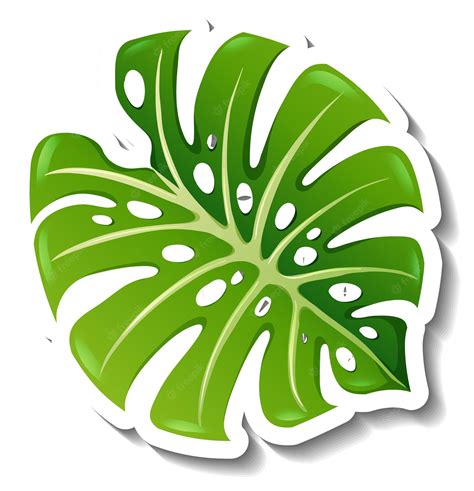 Leaf Png Pinterest Moana Stenciling And Template - Jungle Leaf - Clip Art Library