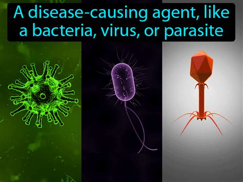 Pathogen Definition & Image | GameSmartz