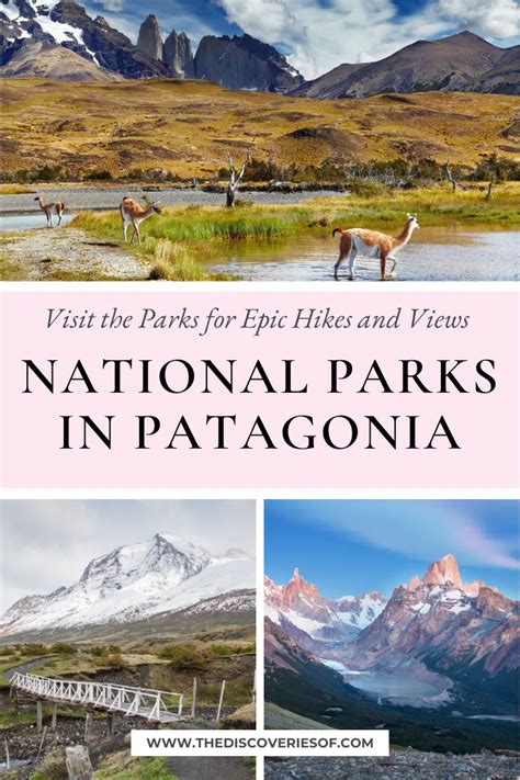 8 Brilliant National Parks in Patagonia — The Discoveries Of