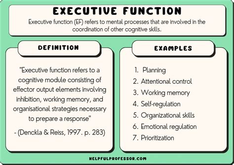 15 Executive Function Examples (2023)