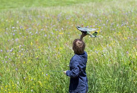 Playing with RC plane stock photo. Image of outside - 160588242