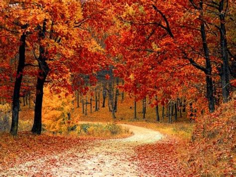 Fall Foliage 2017: Best Time To See Leaves Change In Maryland ...