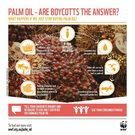 10+ Palm oil benefits ideas | palm oil benefits, palm oil, oils