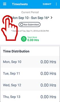 How To Enter Time In A Duration-Based Timesheet - Replicon