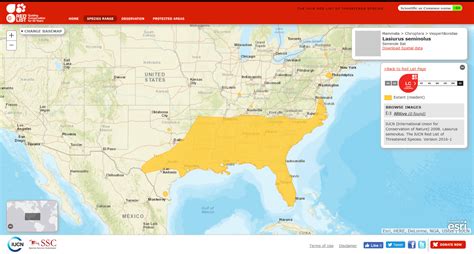 IUCN Red List Range Map Lasiurus seminolus