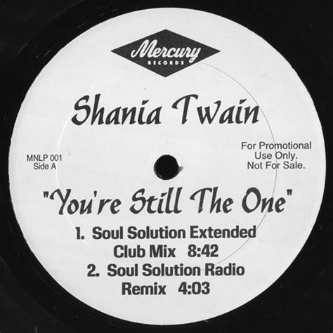 Shania Twain – You're Still The One (1998, Vinyl) - Discogs