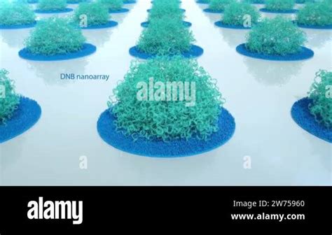 DNA Nanoball Sequencing 3D Animation part 1 Stock Video Footage - Alamy