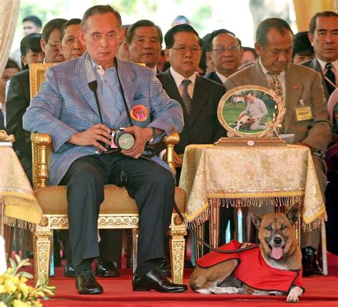 Two Generations of Thai Royal Dogs - 世界愛犬聯盟