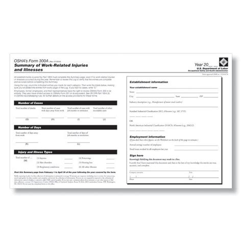 Osha Form 300a Fillable Pdf - Printable Forms Free Online