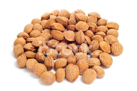 Almonds In Shell Stock Photo | Royalty-Free | FreeImages