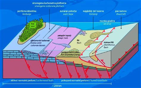 15: The schematic block diagram of the foreland basin system shows the ...