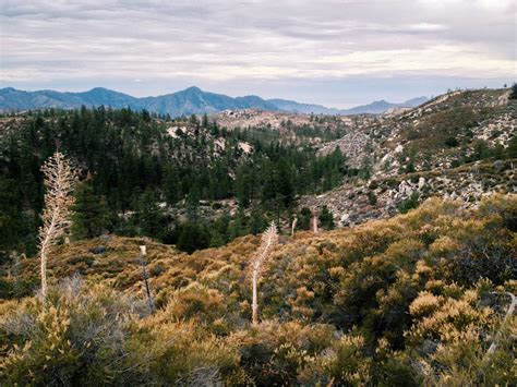 Angeles National Forest — She Explores