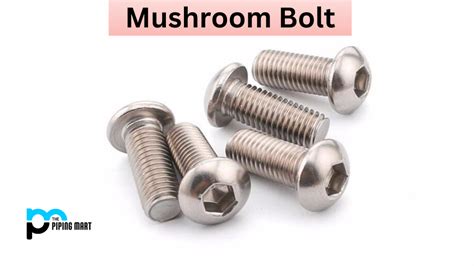 What is Mushroom Bolt?