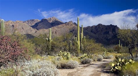 Tours of Sabino Canyon