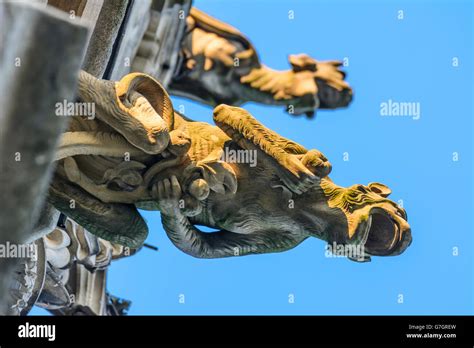 Gargoyle on Cathedral of St. Barbara, Kutná Hora (Kuttenberg), Czech Republic, Stredocesky ...