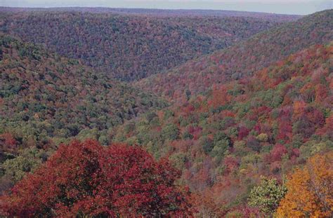 6 Best Fall Foliage Drives in Western Pennsylvania