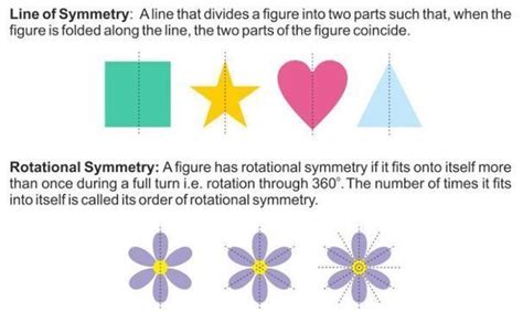 What Shape has only One Line of Symmetry | Symmetry, Rotational symmetry, Shapes