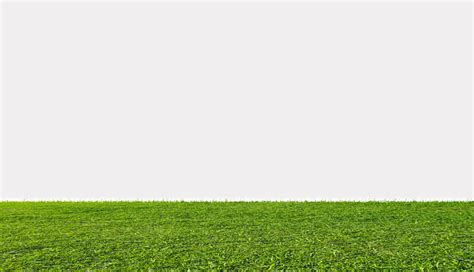 Green Grass Field Isolated On White Background Stock Photo - Download ...
