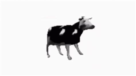 Dancing Polish Cow | Tylko Jedno W Głowie Mam / Polish Cow | Cow, Sky aesthetic, Dance