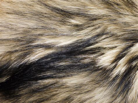 , skin, texture fur, wolf fur texture background, background