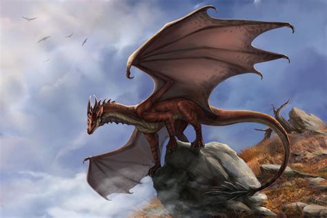 Brown Dragon by Muns11 on DeviantArt