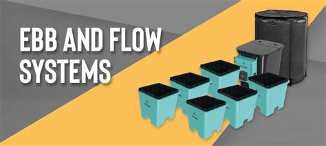 Hydroponic Ebb and Flow Grow Systems | Cheap and Best Hydroponic Ebb ...