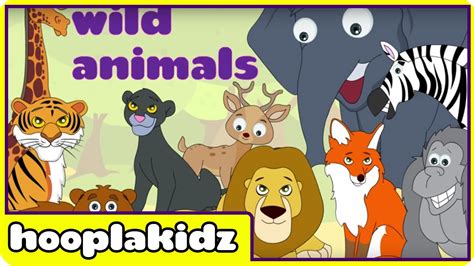 Preschool Activity | Learn About Wild Animals | HooplaKidz - YouTube