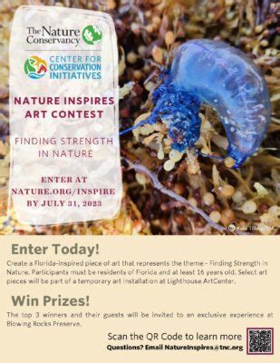 The Nature Conservancy Art Contest - Tallahassee Arts Guide