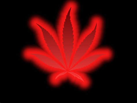 red pot leaf wallpaper