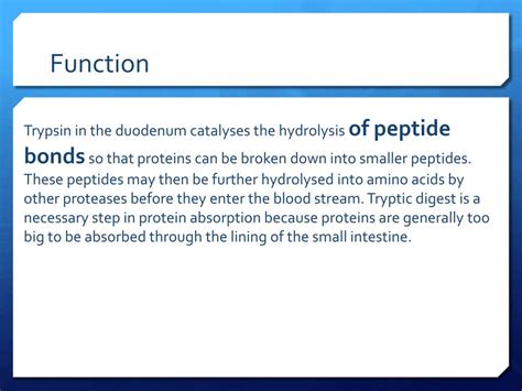 PPT - Trypsin PowerPoint Presentation, free download - ID:2175769