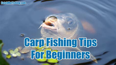 101 Carp Fishing Tips For Beginners - Ultimate Guide - CatchMeFishing