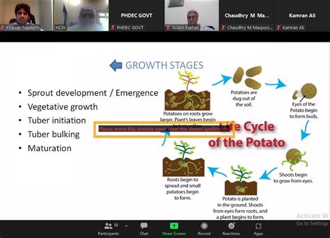 Potato crop production, harvesting, post-harvest handling and export issues – PHDEC