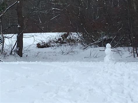 RI Snow Potential: Flakes Expected In Weekend Coastal Storm | Newport, RI Patch