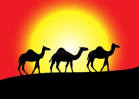 Camel Caravan Silhouette At Sunset Stock Vector - Illustration of caravans, emirates: 45008156